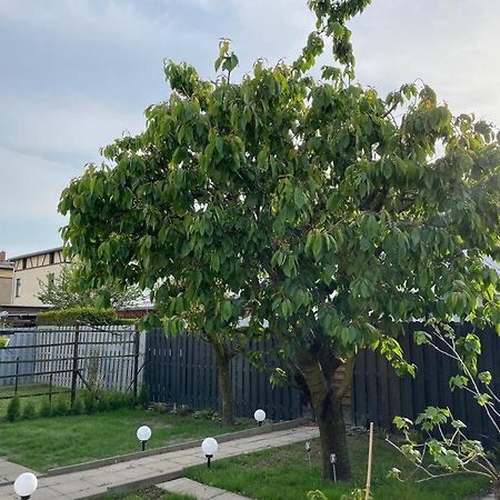 Schoenes Reihenhaus Mit Garten Magdeburg Exteriör bild